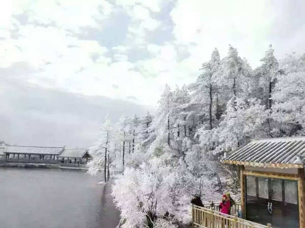 德化九仙山雪景近段时间,接连持续降温,德化九仙山气温最低在零下摄氏