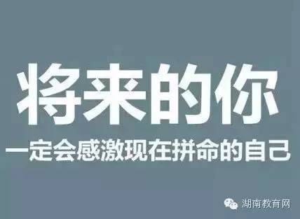 【资讯】硕士招生研招网推免录取信息公开已开