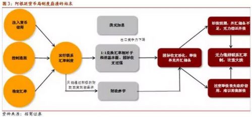 谢亚轩:2001年阿根廷金融危机对货币局制度的