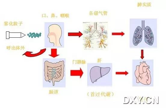 雾化吸入作用原理与适应症是什么_雾化治疗的作用是什么