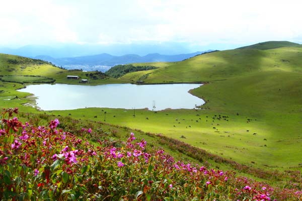 极限挑战大电影拍摄地——腾冲东山草甸 邵权 摄1月15日,由黄渤