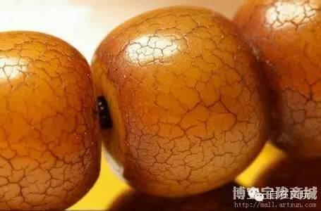 文玩科普说说大象皮菩提根