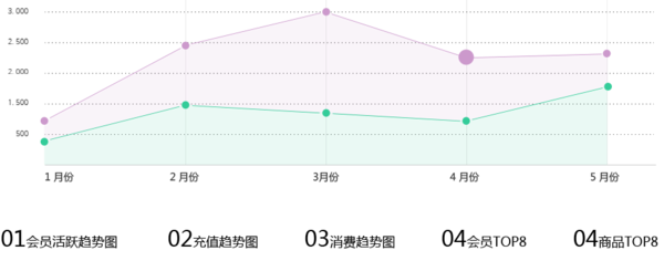 智络CS单机版会员管理系统16年豪华升级