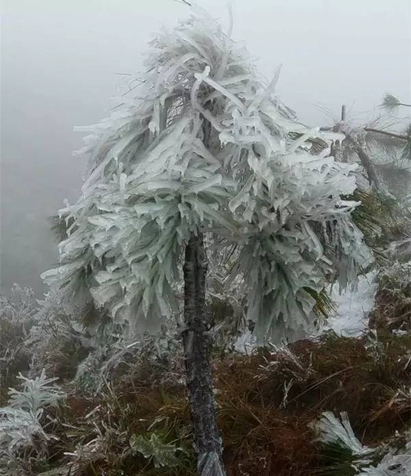 勐海县面积与人口_勐海县地图