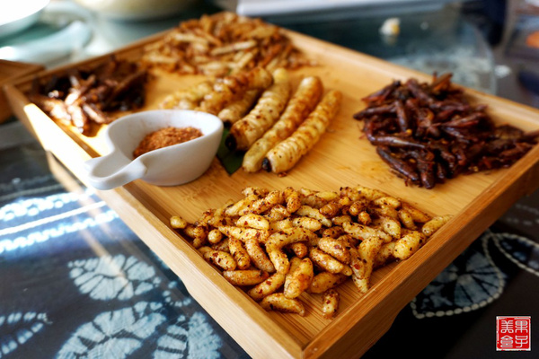 比我手指头还打得柴虫,这条虫子吓得美女们花容失色,但是味道确实不错