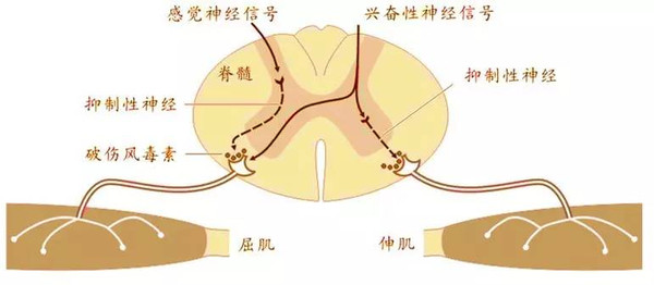 脚被铁砸了怎么办