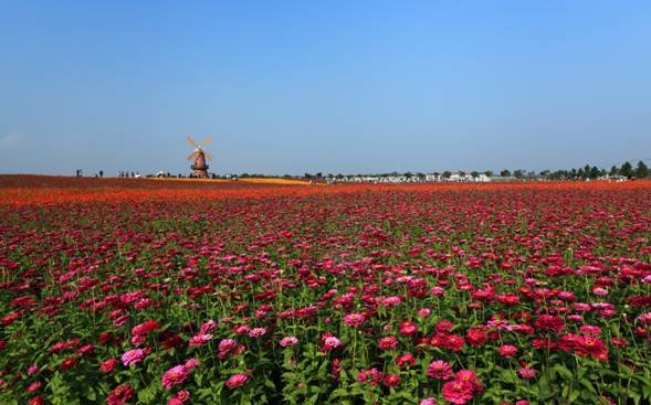 四季花海