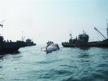 被渔民捞到的境外装置有何作用_中国渔民太能捞_中国渔民捞美军设备