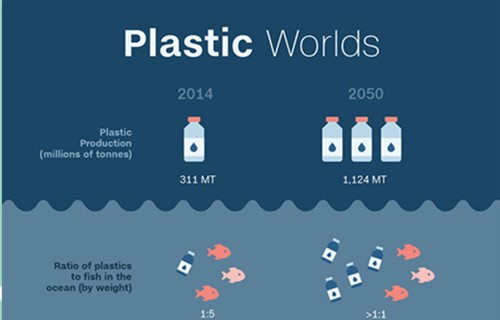 2050德国经济总量超过日本_德国牧羊犬(2)