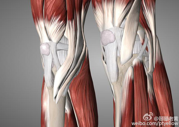 前交叉韧带重建术后为什么要练习伸膝?
