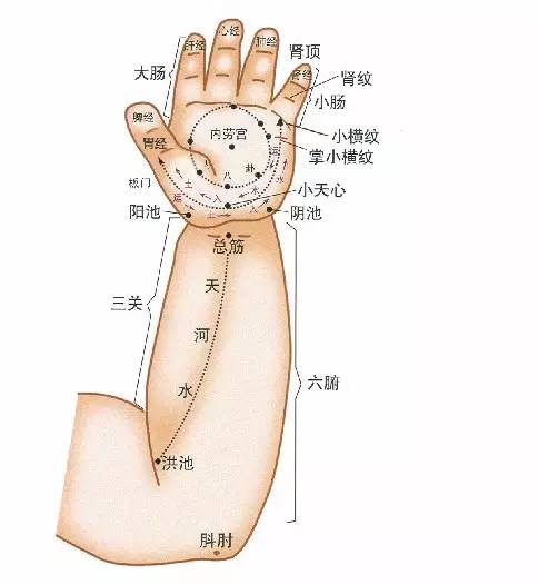 宝宝胃口差老生病怎么办?河南推拿泰斗高爷爷