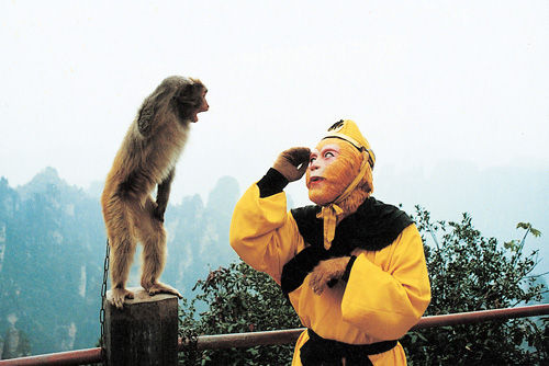 小猴子给美猴王敬礼