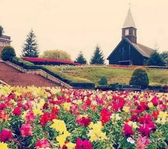 话村电影网不能看了,日本静冈机场免税店,童话