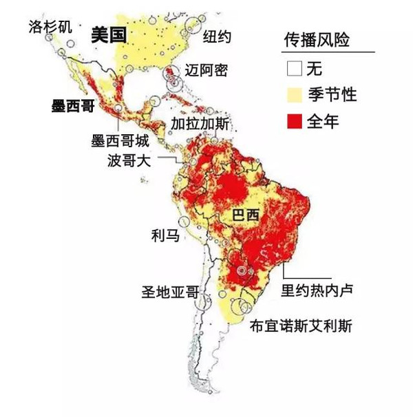 哪个国家寨卡病毒严重
