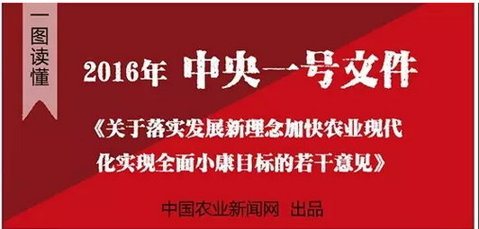 一张图读懂2016中央一号文件的30个要点