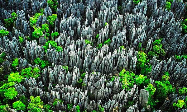 马达加斯加贝马拉哈石林-世界最大的天然迷宫