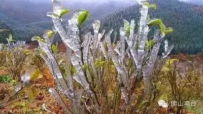 连州三水人口_连州地下河(3)