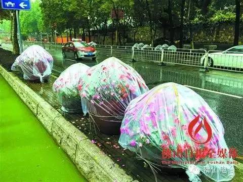 连州三水人口_连州地下河(3)