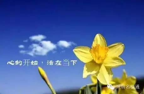 心态好的孩子,运气不会差;心态不好,运气也糟糕!