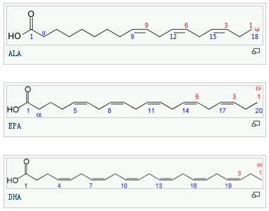 自由基的危害性 mp57216307_1454144187480_4.jpeg