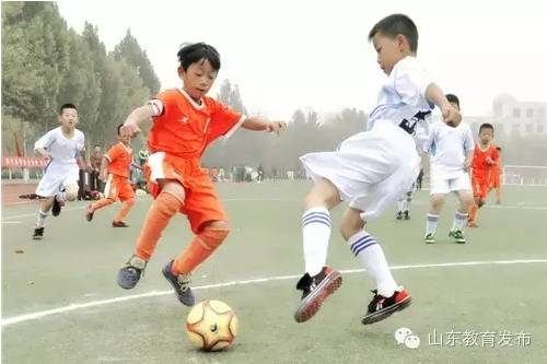 资讯|七所学校命名为鲁能泰山城市足球项目学校