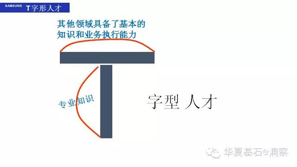 因为与t字型相对的人才 i 字型人才只精通某一特定领域而对其他