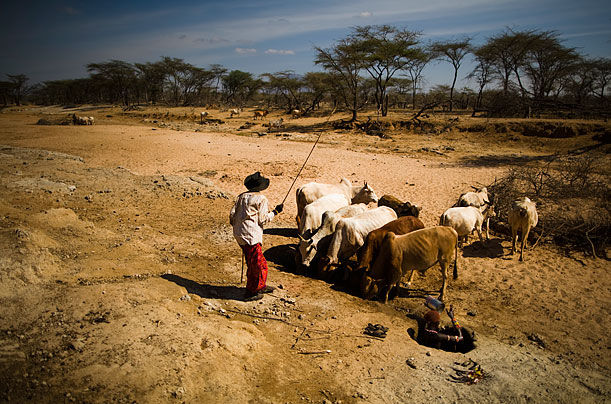 气候变化对非洲危害更大 世界最大沙漠湖泊萎