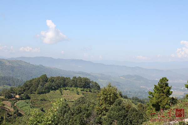 走进普洱茶新六大茶山 带你认识南糯山