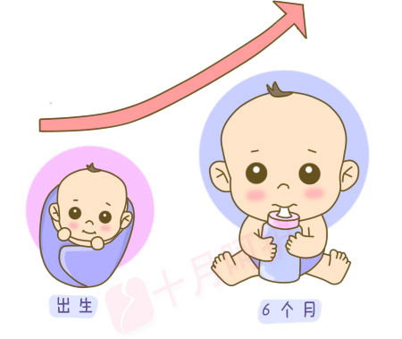 越小的宝宝体重增长越快,出生后到满6个月是宝宝体重的个生长高峰
