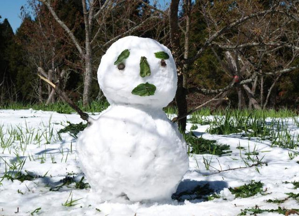 1,蓝眼睛雪人,我不会告诉你们是一对情侣:朋友圈里很多小伙伴都在晒