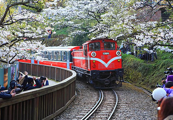 (7) 坐登山小火车,看阿里山日出,云海和日月潭