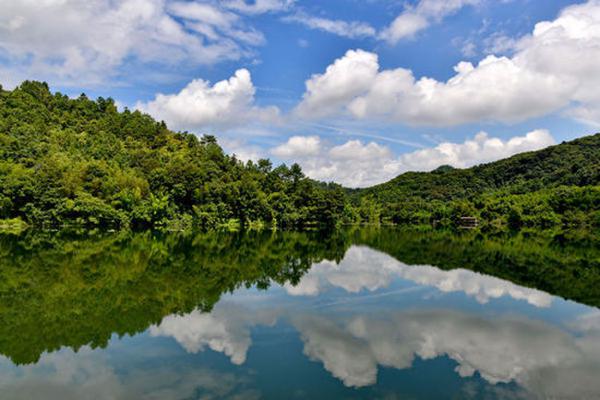 全南县位于江西省最南端,与广东省山水相连,素有“江西南大门”之称,境内风光秀丽,气候宜人,生态环境优越。全南原名虔南,因地处虔州(今赣州)之南而得名。