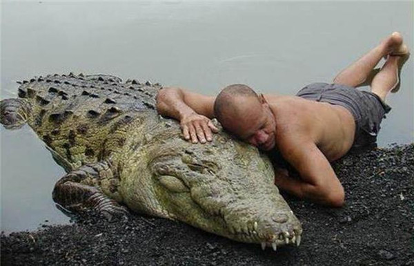 盘点跨物种友谊:鳄鱼与人成了好朋友