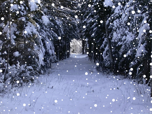 下雪天,几千年里的佳话