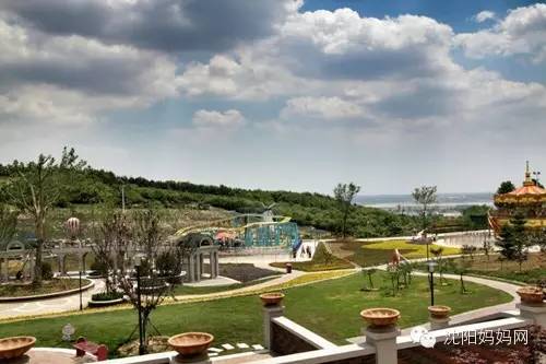 属猴的小伙伴们,森林动物园、海洋公园.N多景