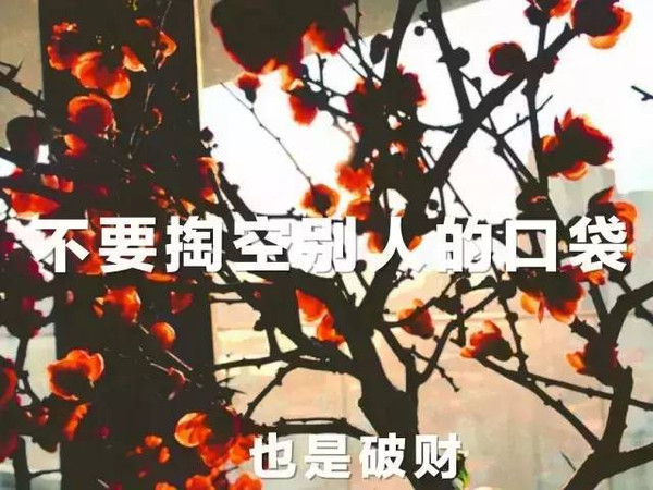 广东湛江人口多少人口_广东湛江(3)