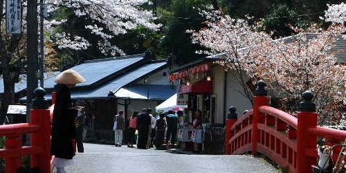 日本留学申请热门人气专业有哪些