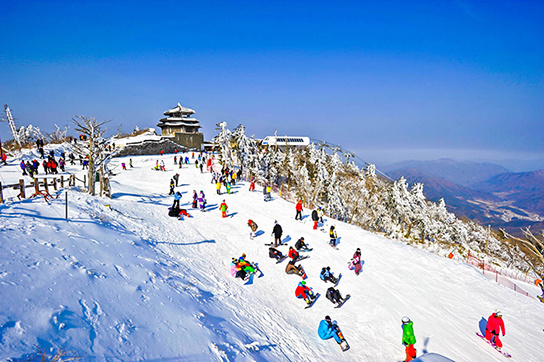 怎样去韩国选择好的滑雪团