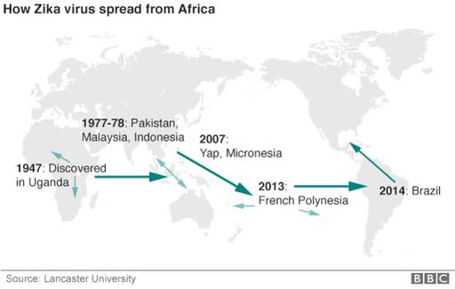 世界人口非自然死亡率排行榜_世界人口排行榜2020(2)