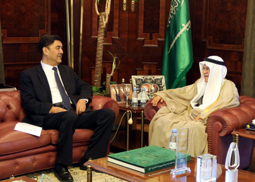 努尔·白克力会见沙特石油和矿产资源大臣(图
