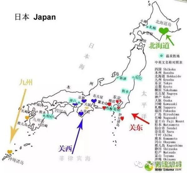 大阪奈良公园,满园的小鹿,小花可爱极了!