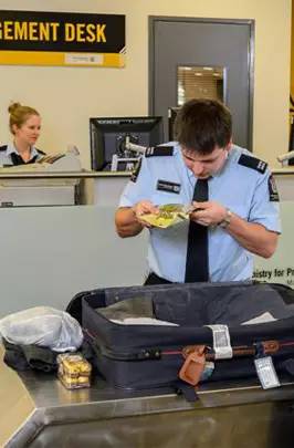 新西兰留学入境携带哪些东西需要申报