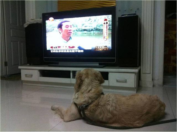 智能电视看电视节目,不用接有线也能看?