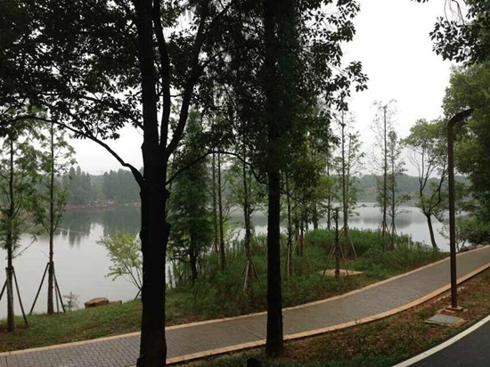 衡阳闹市中的幽静处_衡阳湿地公园—南湖公园
