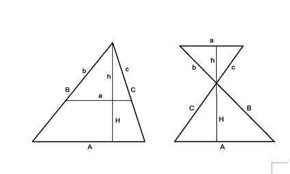 5:β