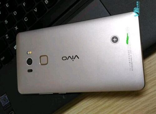 vivo