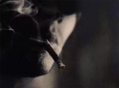 什么是精子总活力 mp58352637_1454824490300_2_th.jpeg