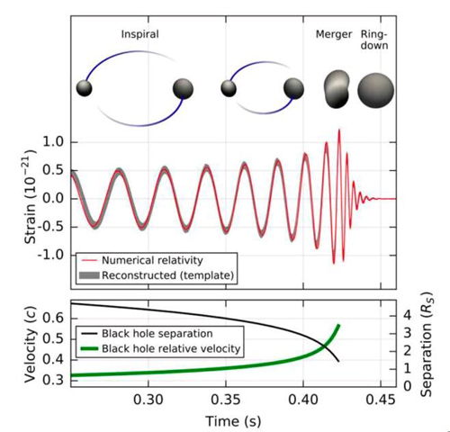 7：通过比较引力波应变数据（以在汉福德的H1探测器所接收的应变为例）和由广义相对论计算得出的在旋进（inspiral）、合并(merger)、铃宕（ringdown）三个过程的最佳匹配波形，得出的关于GW150914的一些关键结论。图片下方展示了两个黑洞的间距和相对速度随时间演化的过程，它们的速度在不到0.2秒的时间内达到了0.6倍光速。（此图版权为LSC/Virgo Collaboration所有）