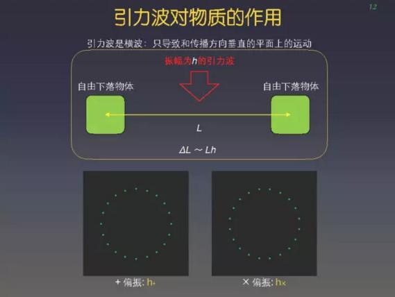 如果不是自由下落的分开的物体,而是一个整个的弹性体,那么引力场的