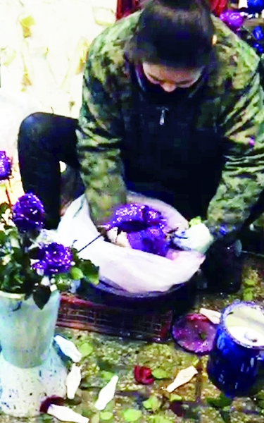 “彩妆”玫瑰 身价翻倍